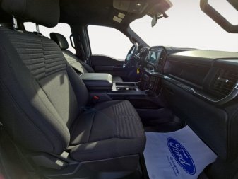 Ford F-150 STX   - Navigation - Running Boards 1FTEW1EP7PFC38483 114894