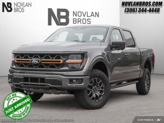 2025 Ford F-150 Tremor  - Tailgate Step - Image 0