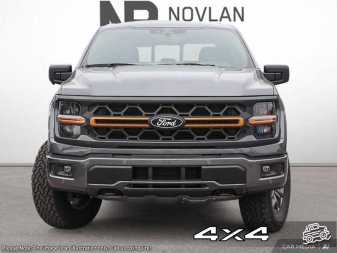 2025 Ford F-150 Tremor  - Tailgate Step - Image 1