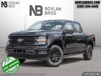 2025 Ford F-150 XLT - Image 0