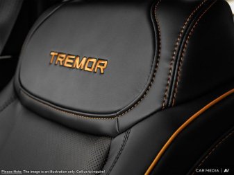 2025 Ford F-150 Tremor  - Leather Seats - Sunroof - Image 18