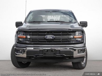 2025 Ford F-150 XLT - Image 1