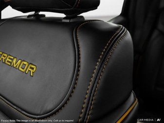2025 Ford F-150 Tremor  - Leather Seats - Premium Audio - Image 19