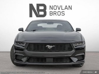2025 Ford Mustang EcoBoost - Image 1