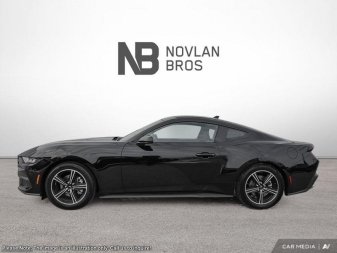 2025 Ford Mustang EcoBoost - Image 2