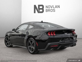 2025 Ford Mustang EcoBoost - Image 3