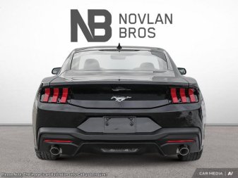 2025 Ford Mustang EcoBoost - Image 4