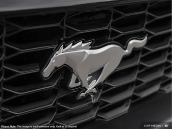 2025 Ford Mustang EcoBoost - Image 8