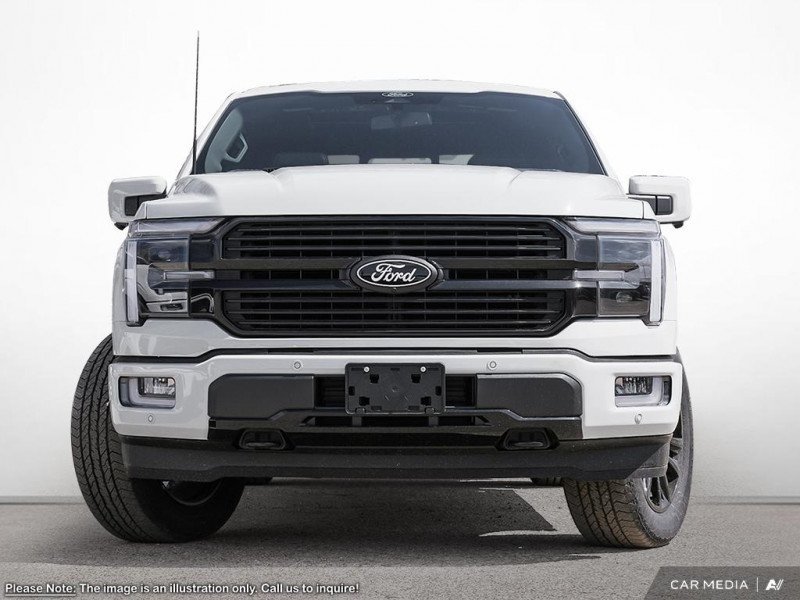 Ford F-150 Platinum 1FTFW7LD3SFB18866 123096