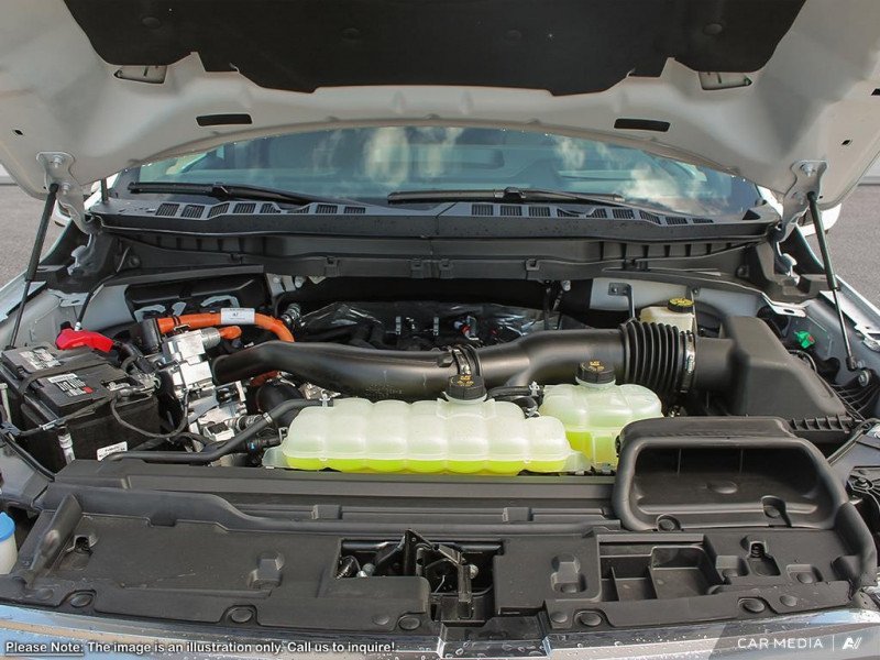 Ford F-150 Platinum 1FTFW7LD3SFB18866 123100