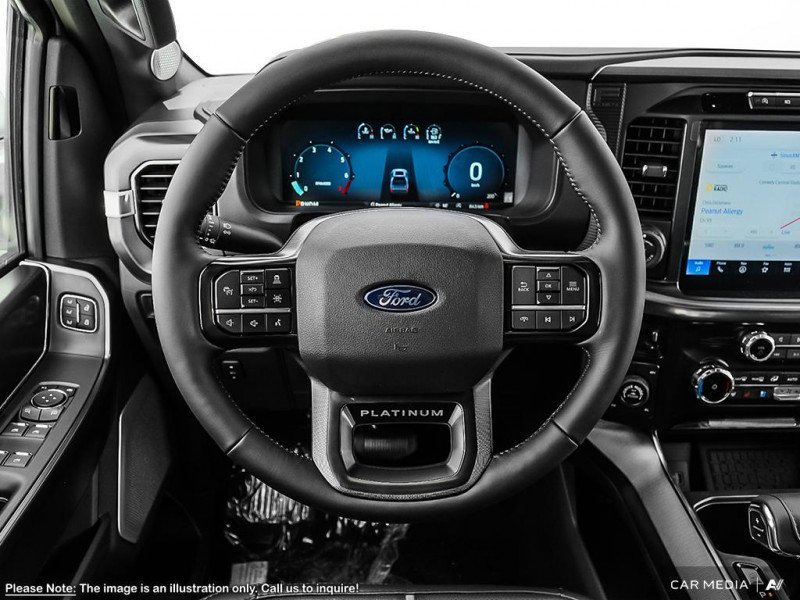 Ford F-150 Platinum 1FTFW7LD3SFB18866 123107