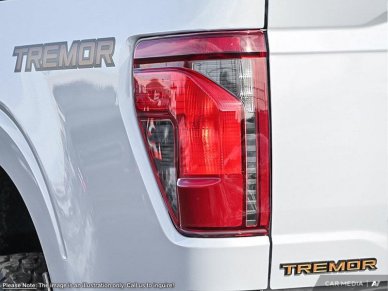 2025 Ford F-150 Tremor  - Tailgate Step - Image 10