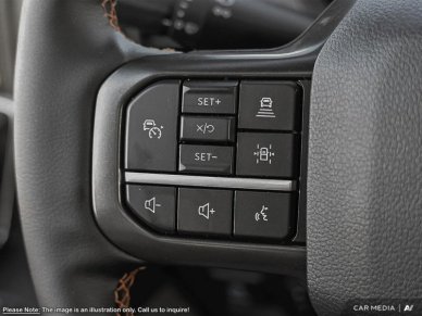 2025 Ford F-150 Tremor  - Tailgate Step - Image 14