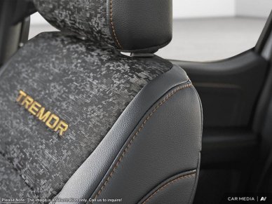 2025 Ford F-150 Tremor  - Tailgate Step - Image 19