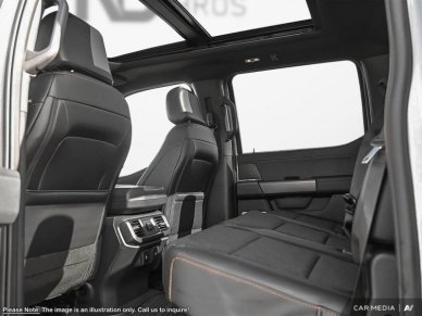 2025 Ford F-150 Tremor  - Tailgate Step - Image 20