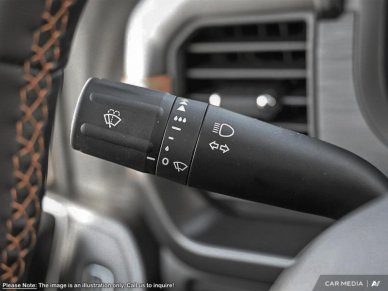 2025 Ford F-150 Tremor  - Tailgate Step - Image 23