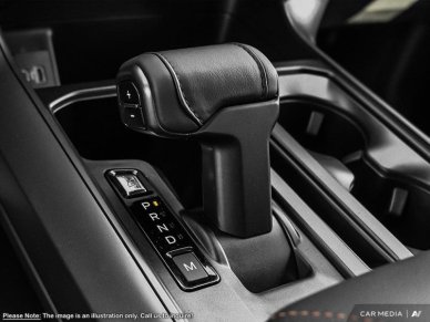 2025 Ford F-150 Tremor  - Tailgate Step - Image 15