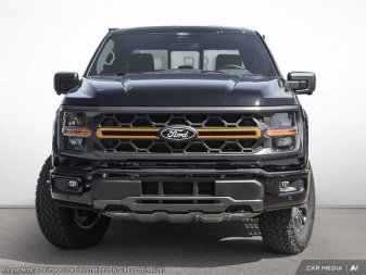 2025 Ford F-150 Tremor  - Tailgate Step - Image 1