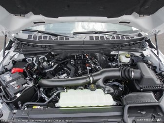 2025 Ford F-150 Tremor  - Tailgate Step - Image 5
