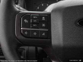 2025 Ford F-150 Tremor  - Tailgate Step - Image 12
