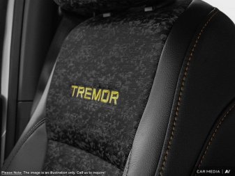 2025 Ford F-150 Tremor  - Tailgate Step - Image 17