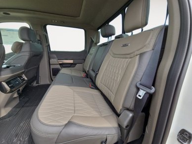 2025 Ford F-350 Super Duty PLATINUM  - Sunroof - Image 12