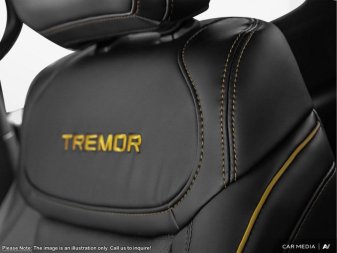 2025 Ford F-150 Tremor  - Leather Seats - Premium Audio - Image 19