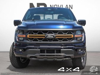 2025 Ford F-150 Tremor  - Tailgate Step - Image 1
