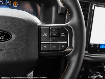 2025 Ford F-150 Tremor  - Tailgate Step - Image 13