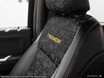 2025 Ford F-150 Tremor  - Tailgate Step - Image 18