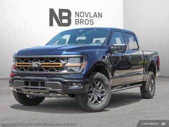 Ford F-150 Tremor  - Tailgate Step 1FTFW4L57SFB34558 123622