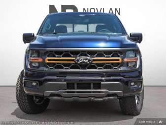 Ford F-150 Tremor  - Tailgate Step 1FTFW4L57SFB34558 123623