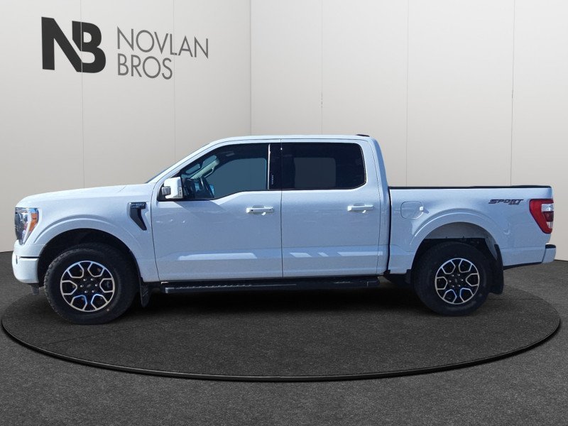 Ford F-150 Lariat  - Navigation - Heated Seats 1FTEW1EP3PKF19977 123762