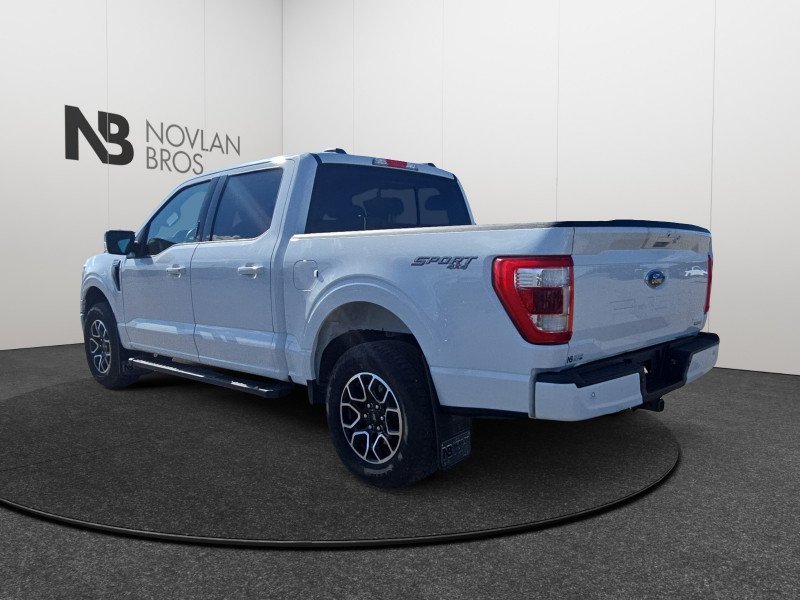 Ford F-150 Lariat  - Navigation - Heated Seats 1FTEW1EP3PKF19977 123763