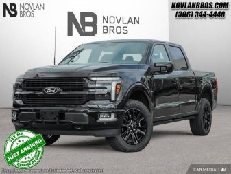 2025 Ford F-150 Platinum - Image 0