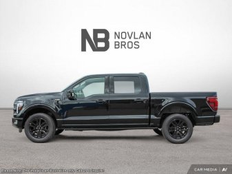 2025 Ford F-150 Platinum - Image 2