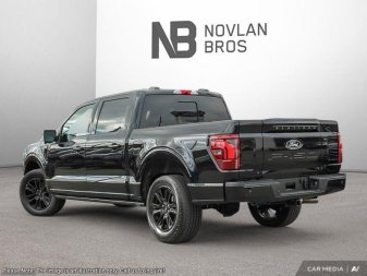 2025 Ford F-150 Platinum - Image 3