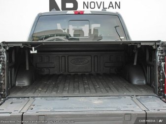 2025 Ford F-150 Platinum - Image 6
