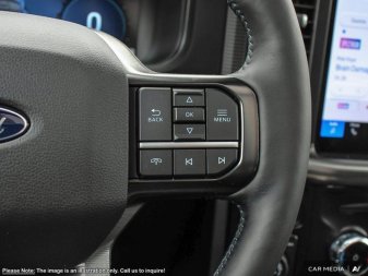 2025 Ford F-150 Platinum - Image 14