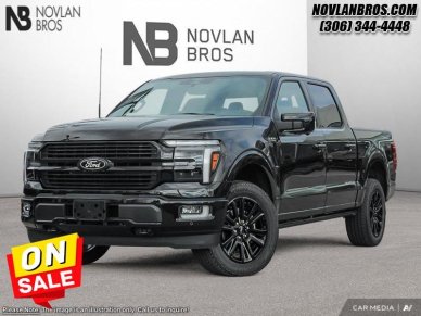 Ford F-150 Platinum 1FTFW7L83SFA61586 125823