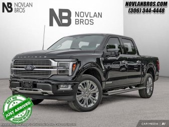 2025 Ford F-150 Platinum - Image 0