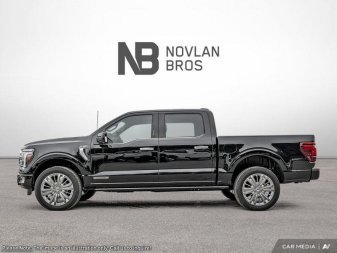 2025 Ford F-150 Platinum - Image 2