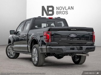 2025 Ford F-150 Platinum - Image 3