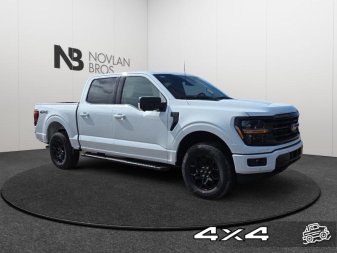2025 Ford F-150 XLT - Image 1