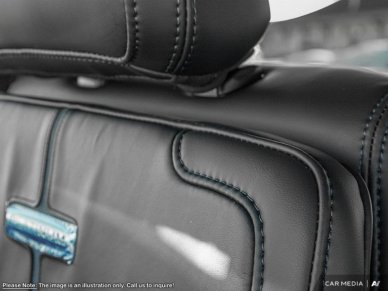 2025 Ford F-350 Super Duty Platinum - Image 16