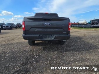 2020 Ford F-150 XLT  - Heated Seats - Alloy Wheels - Image 3