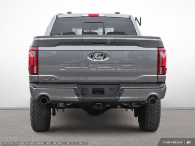 Ford F-150 Tremor  - Tow Package 1FTFW4L88SFA47052 126044