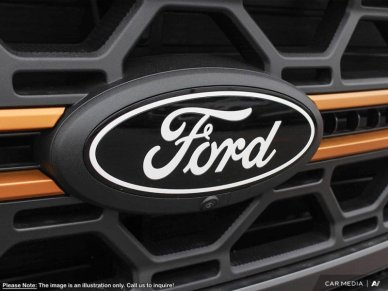 Ford F-150 Tremor  - Tow Package 1FTFW4L88SFA47052 126048