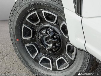 2025 Ford F-350 Super Duty Platinum  - Power Stroke - Image 7