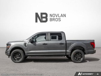 Ford F-150 STX 1FTEW2LP3SKF20709 130218